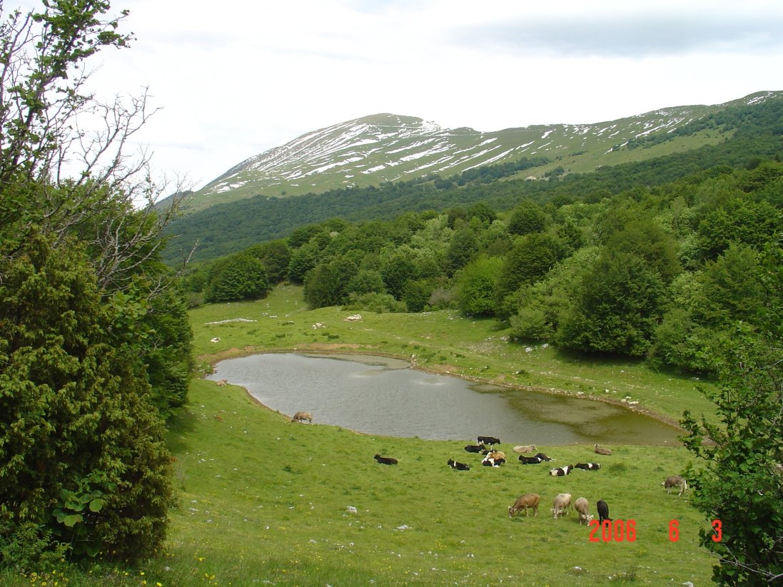 primavera sul Baldo (due pozze)